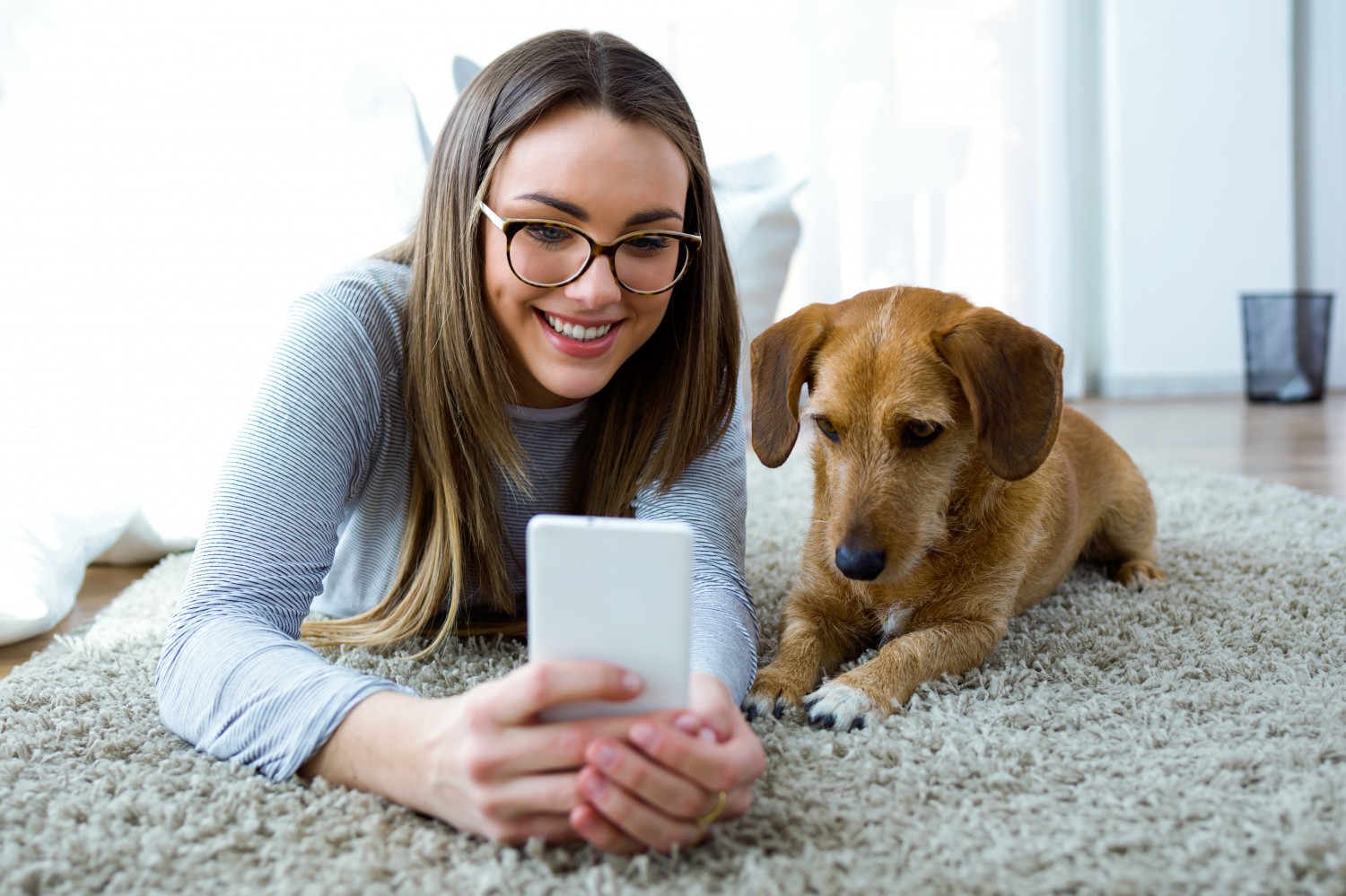 Client and Dog looking at a Cell Phone