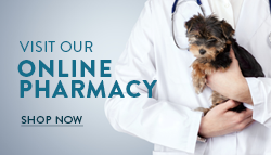 Online Pharmacy Logo