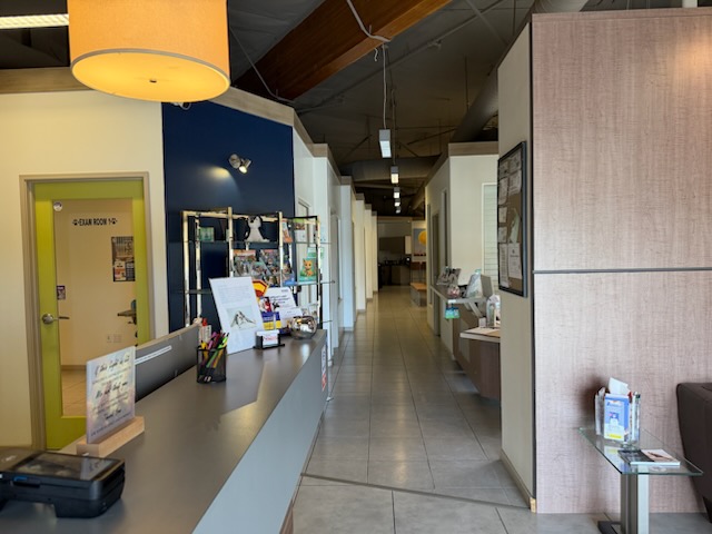 Reception & Hallway