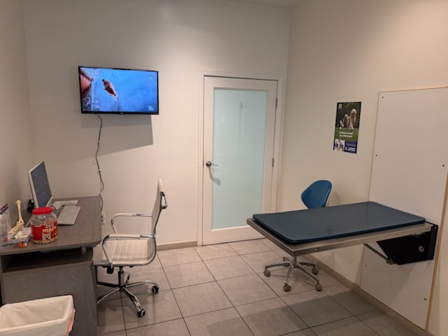 Exam Room