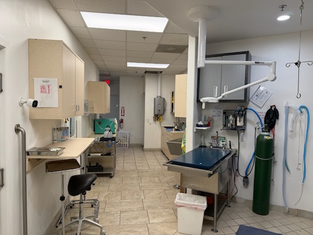 Treatment Area