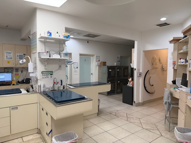 Treatment Area