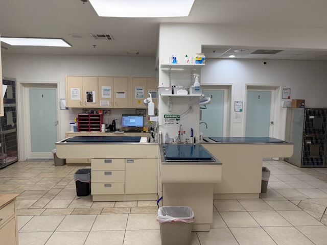 Treatment Area