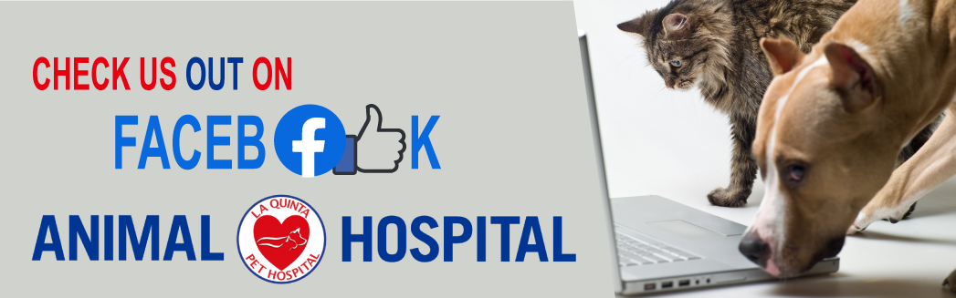 La Quinta Facebook Logo